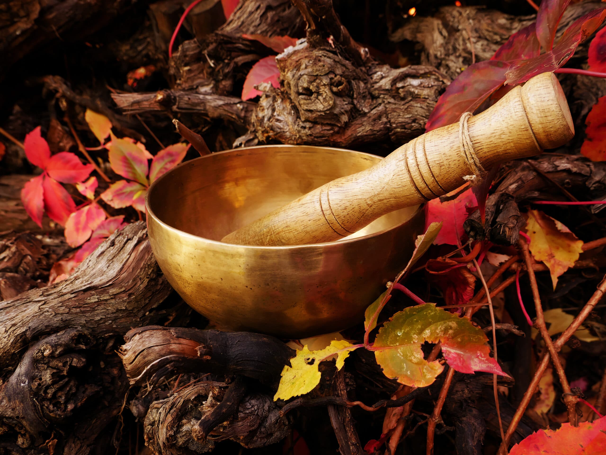 Singing bowl placed on a tree log surrounded by autumn leaves Metal singing bowl for relaxing and receiving healing vibrations